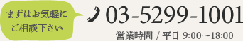 電話番号：03-52991001